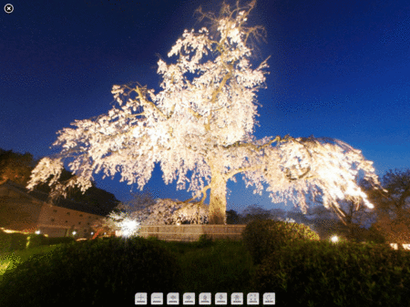 120224-04.gif