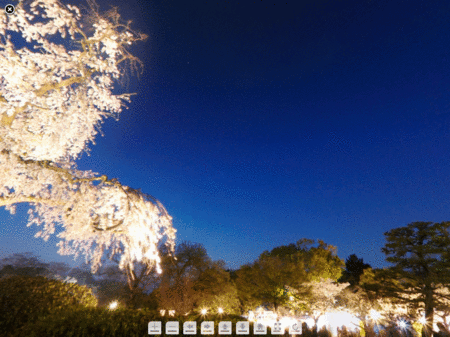120224-05.gif